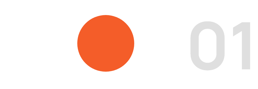 Expert IT Professionals